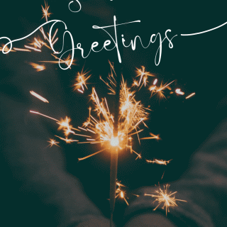Season's Greetings from the AFS Potomac Chapter (hands holding sparklers)