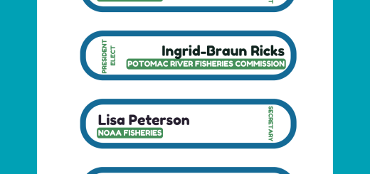 Meet your officers! President: Kaitlin Lang, NOAA Fisheries, President-Elect: Ingrid Braun-Ricks, PRFC, Secretary: Lisa Peterson, NOAA Fisheries, Treasurer: Jason Kahn, NOAA Fisheries, Past President: Julie DeFilippi Simpson, ASMFC/ACCSP